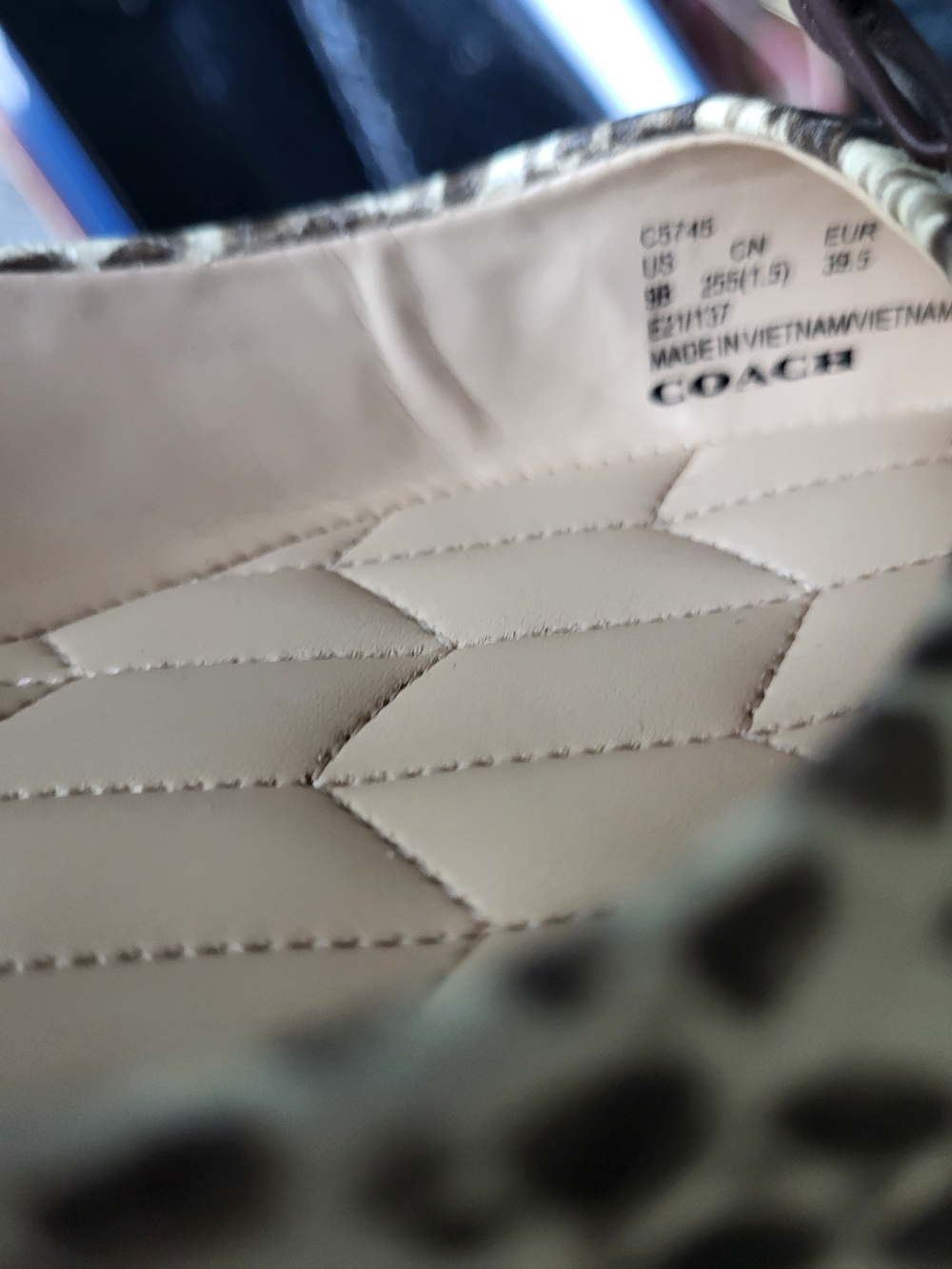 Coach Snake-Print Pointed Ballet Flats in Cream and Black - Picture 7 of 7